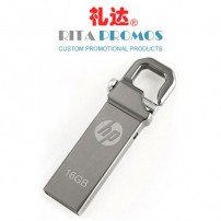 Branded USB Drives with Keyring (RPPUFD-8)